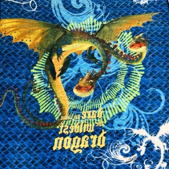 Dreamworks How To Train Your Dragon Dare to Tame the Wildest Dragon ThrowBlanket - Picture 4 of 4